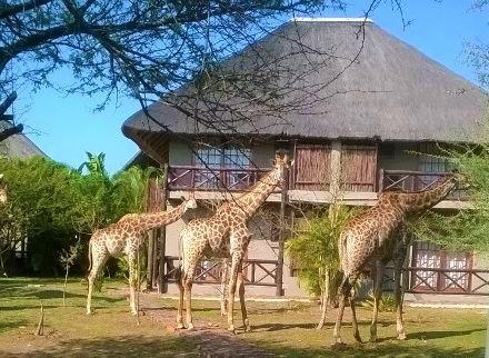 Rhulani Kruger Villa Marloth Park Buitenkant foto